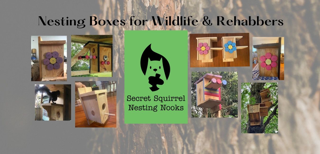 Nesting Nook Options